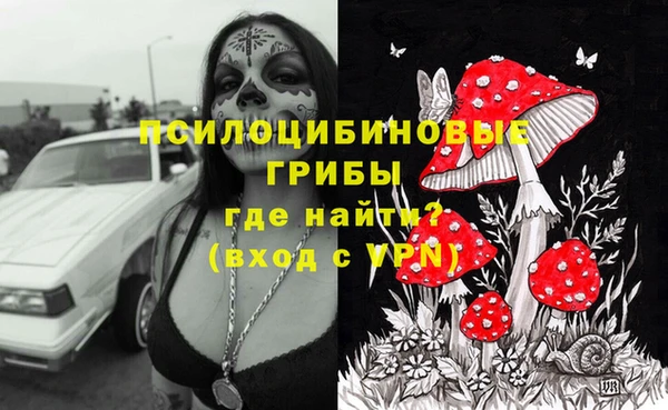 a pvp Верея