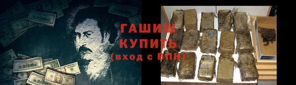 МДПВ Бородино