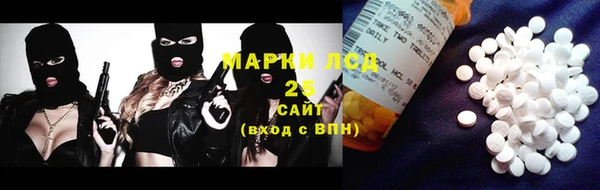 МДПВ Бородино
