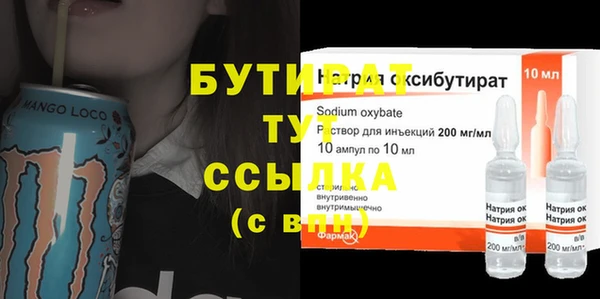 МДПВ Бородино