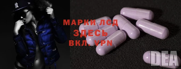 МДПВ Бородино