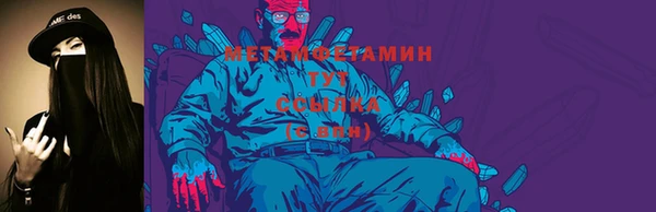 МДПВ Бородино