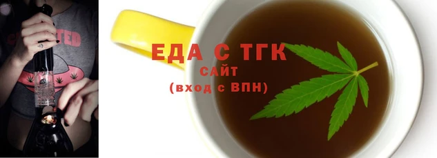 МДПВ Бородино