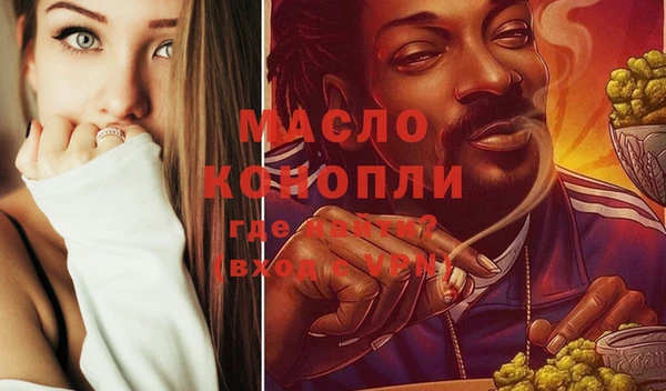 МДПВ Бородино