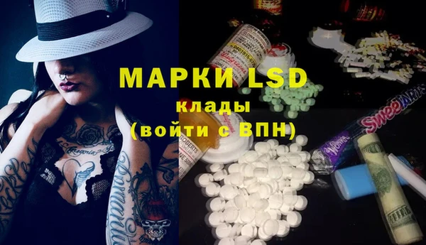 МДПВ Бородино