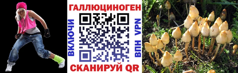 наркота  Гаврилов-Ям  Псилоцибиновые грибы мицелий 